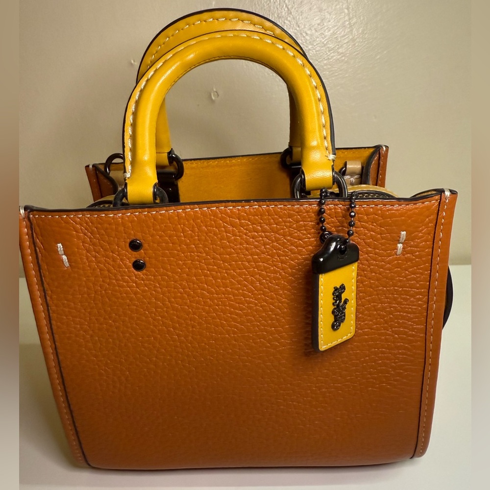Coach rogue 17 in Canyon color block